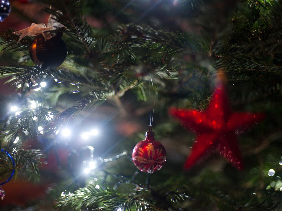 Christmas ornament, Christmas, Christmas tree, Nature, Tree, Christmas decoration, Light, Natural environment, Ornament, Fir, 