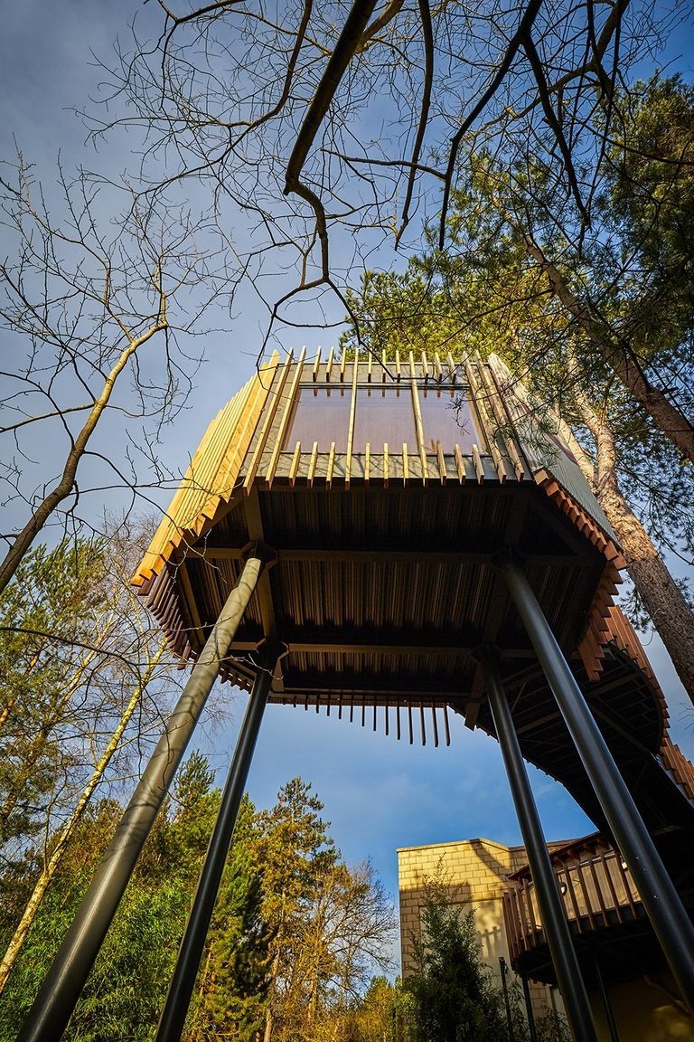 Treetop Sauna | ELLE UK