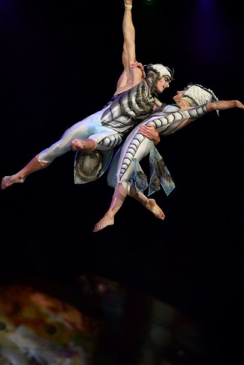 Ovo by Cirque du Soleil, Royal Albert Hall, London