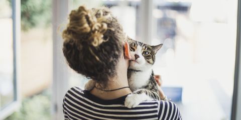 Cat person | ELLE UK
