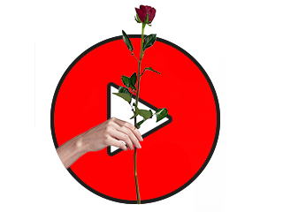 Petal, Creative arts, Flowering plant, Rose family, Cut flowers, Rose, Rose order, Hybrid tea rose, Artificial flower, Illustration, 