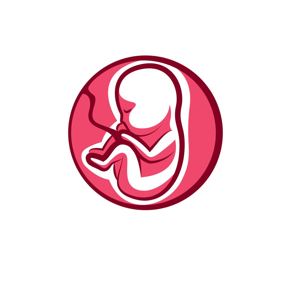 diagram of baby in womb