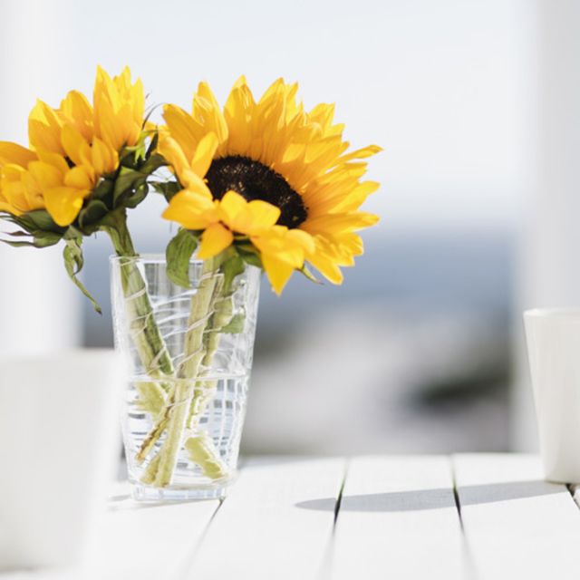 Flower, Sunflower, Yellow, Gerbera, Cut flowers, Plant, barberton daisy, sunflower, Bouquet, Vase, 