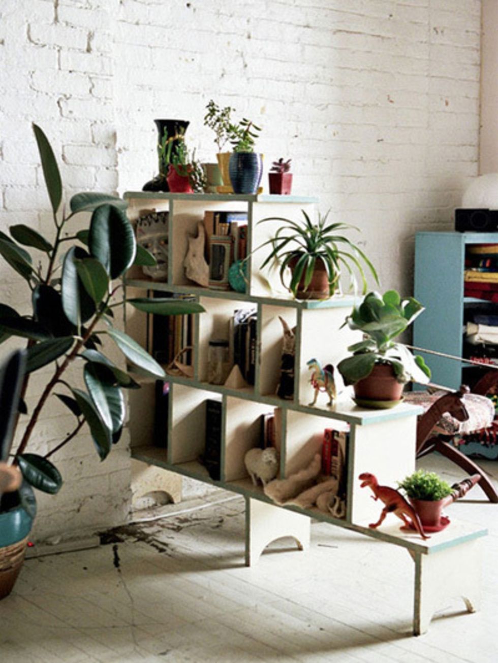 Plant, Flowerpot, Wall, Shelving, Interior design, Houseplant, Shelf, Vase, Still life photography, Pottery, 