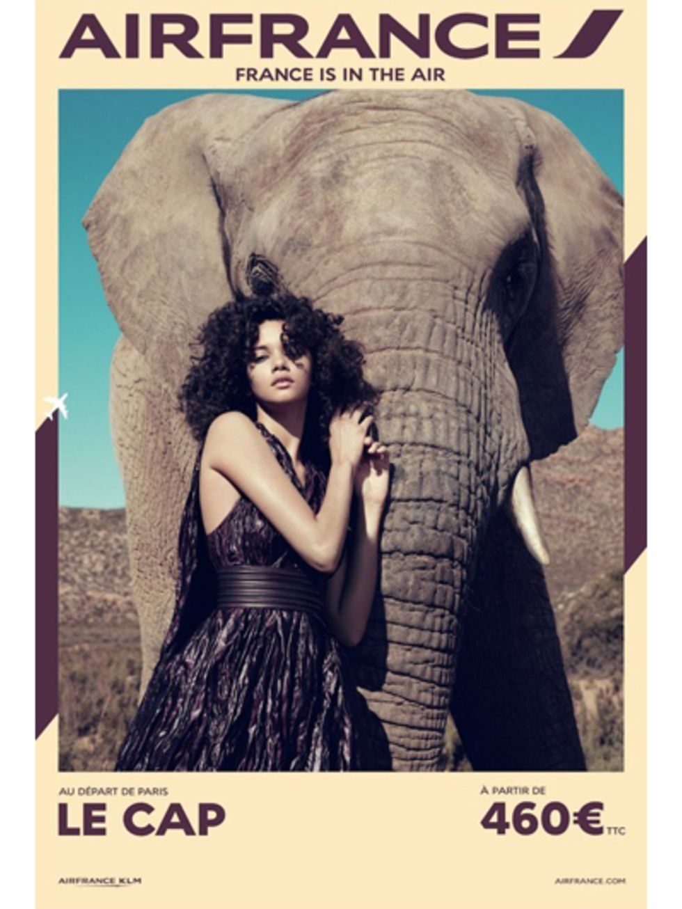 Elephant, Elephants and Mammoths, Skin, Indian elephant, Adaptation, Beauty, Poster, Terrestrial animal, African elephant, Working animal, 