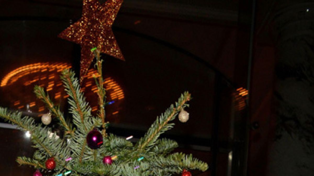 Zich afvragen slim Fruitig De beste (of slechtste?) kerstbomen van celebs