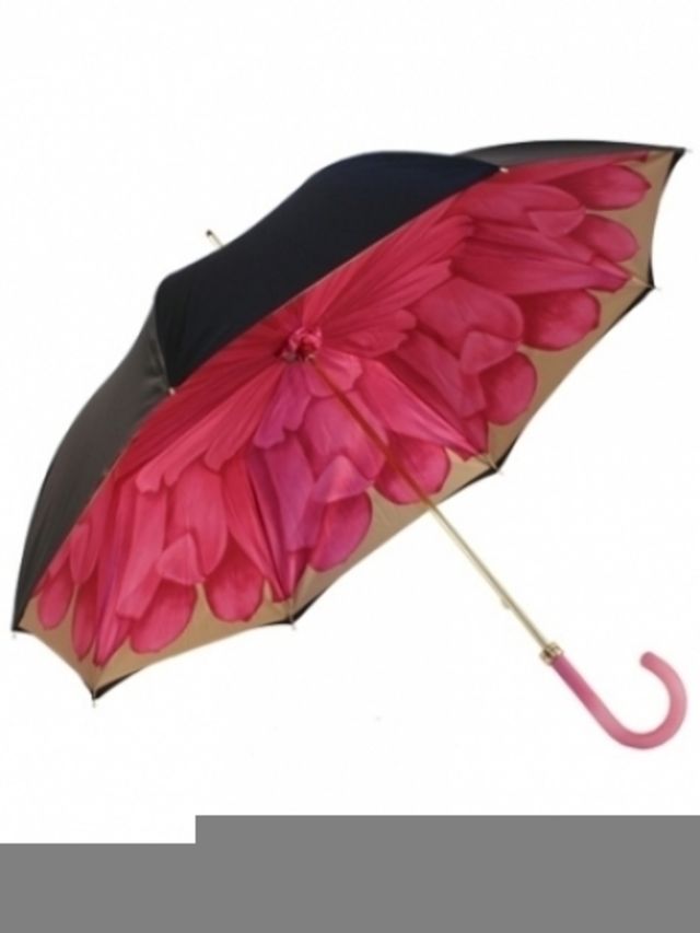 Designer-paraplu-s