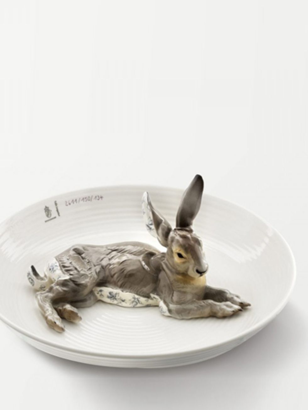 Rabbit, Rabbits and Hares, Hare, Dishware, Grey, Domestic rabbit, Fawn, Serveware, Snout, Plate, 