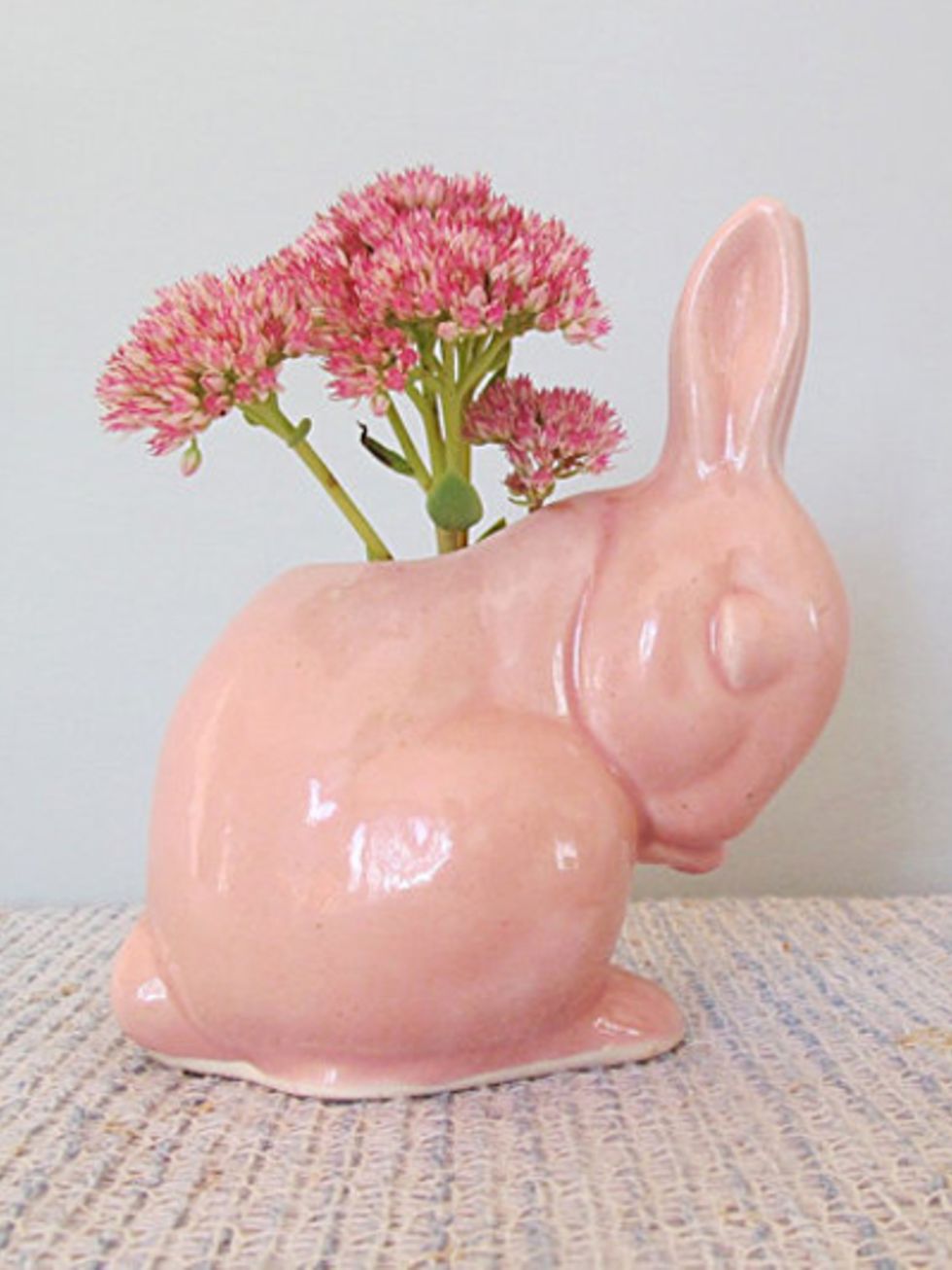 Brown, Flower, Pink, Rabbit, Peach, Rabbits and Hares, Flowerpot, Saving, Flowering plant, Vase, 