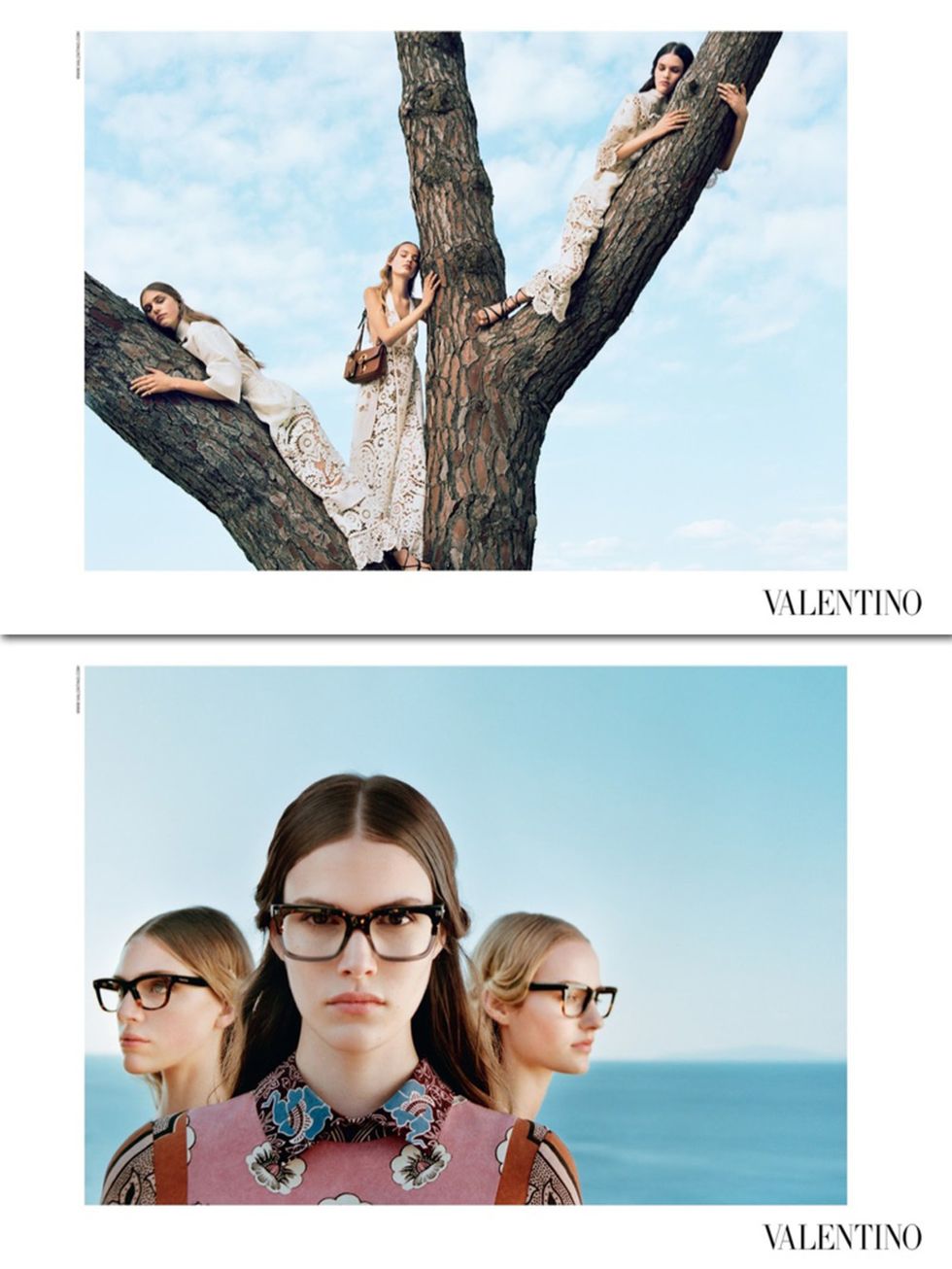 Eyewear, Glasses, Ear, Vision care, Branch, Photograph, Collar, Collage, Trunk, Photography, 