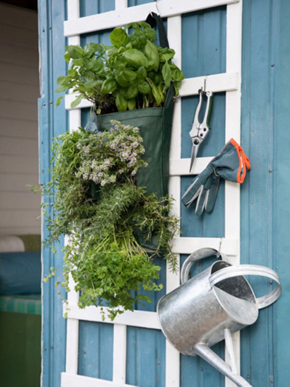 Green, Teal, Herb, Siding, Aluminium, 