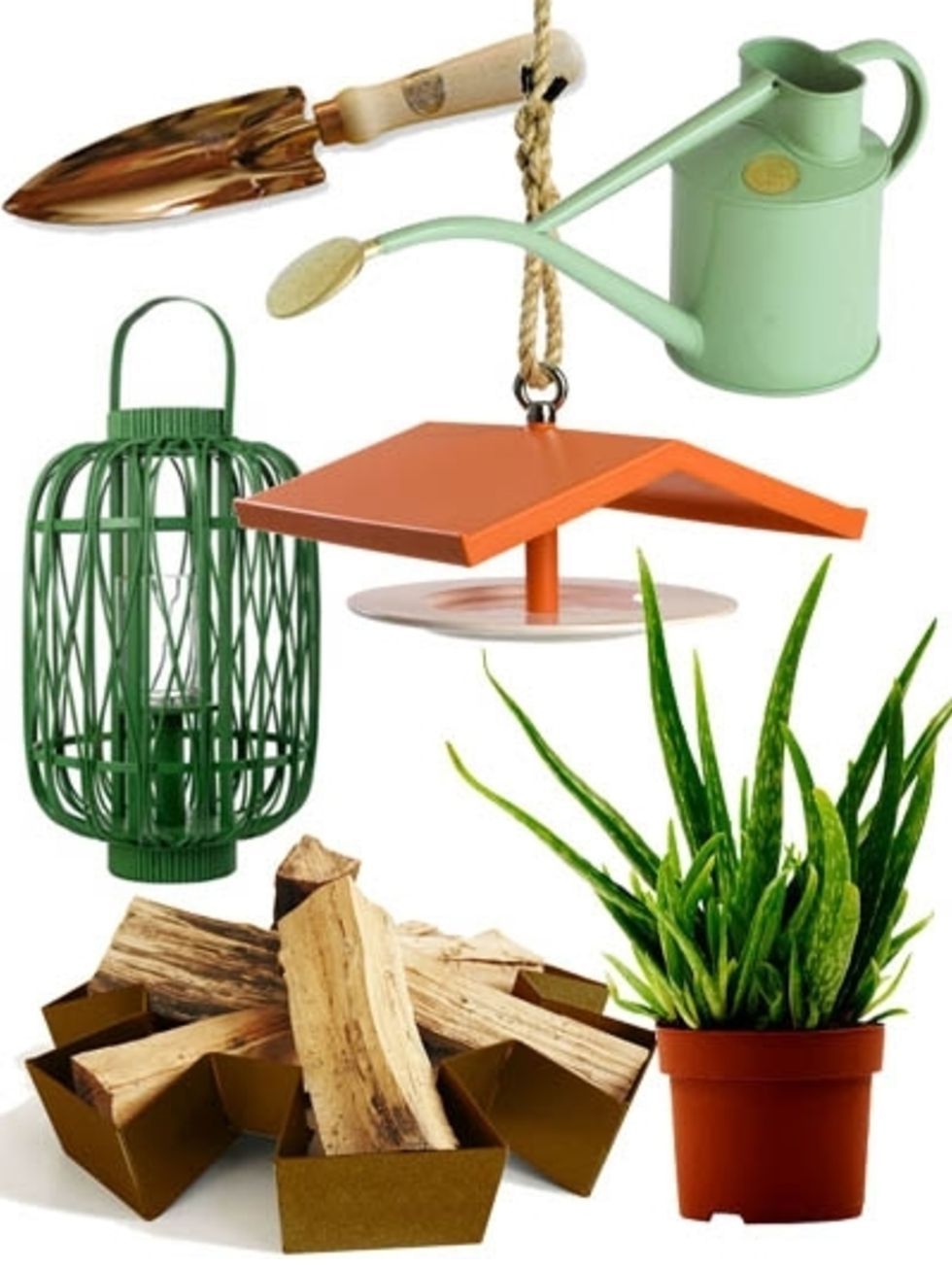 Wood, Flowerpot, Watering can, Houseplant, Household supply, Hardwood, Tool, Personal care, Kitchen utensil, Cylinder, 
