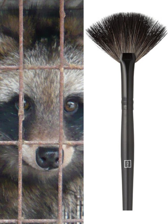 Schokkend-HEMA-verkoopt-make-upkwast-van-wasbeerhondenhaar