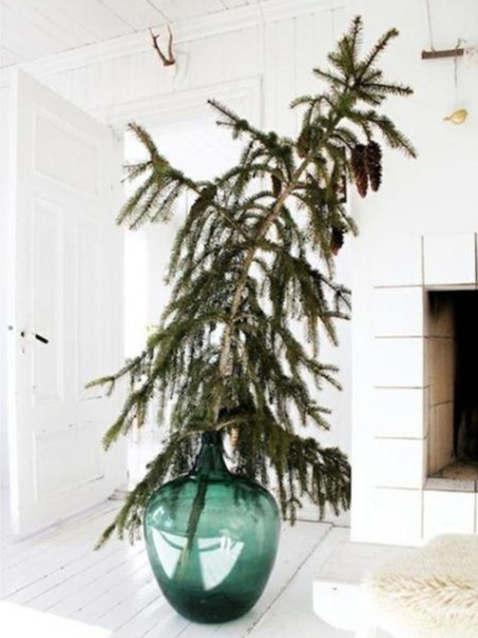 Branch, Twig, Wall, Christmas decoration, Teal, Interior design, Turquoise, Aqua, Flowerpot, Vase, 