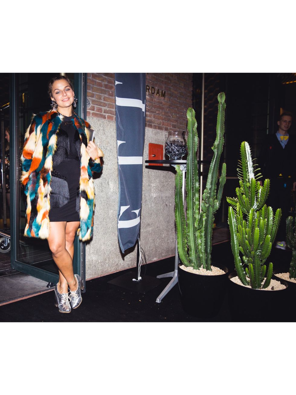 Dress, Terrestrial plant, Street fashion, Bag, Cactus, San Pedro cactus, One-piece garment, Acanthocereus tetragonus, Houseplant, Caryophyllales, 