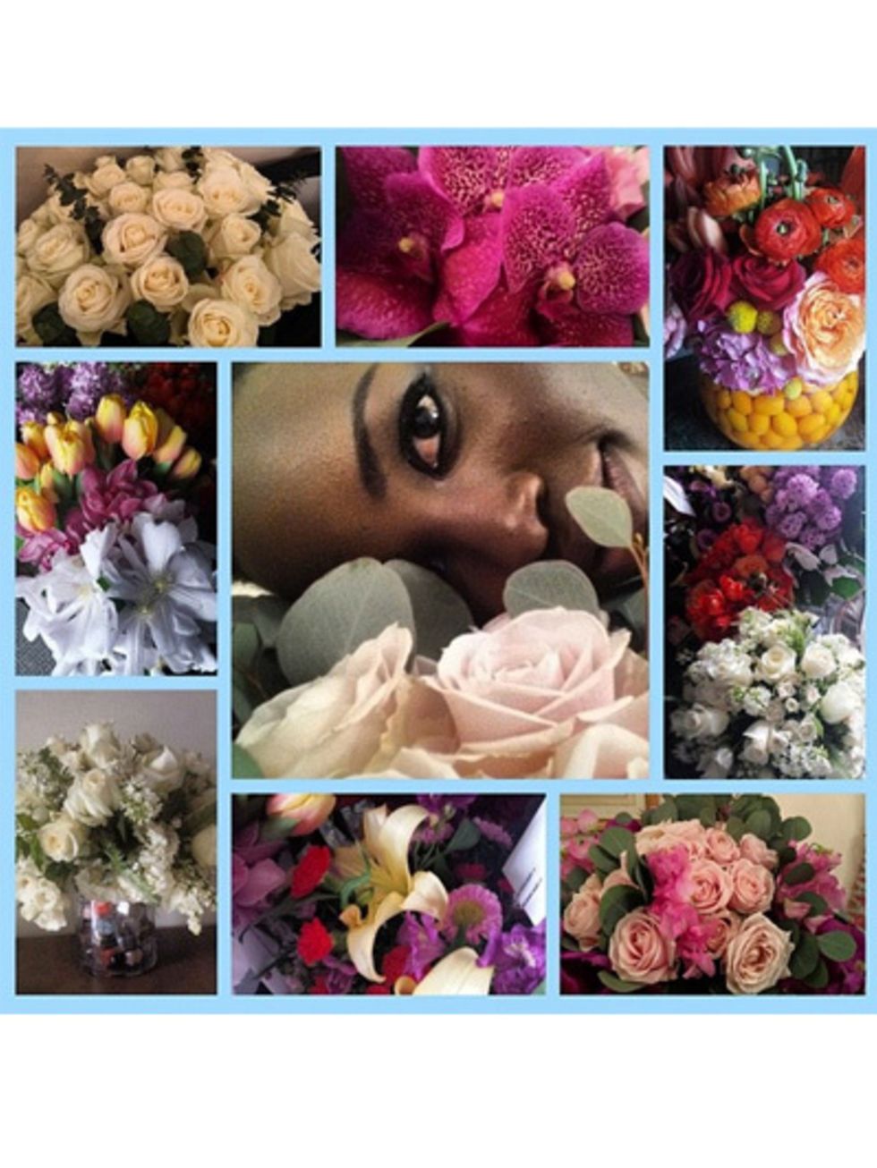 Petal, Flower, Pink, Purple, Flowering plant, Collage, Produce, Violet, Magenta, Photography, 