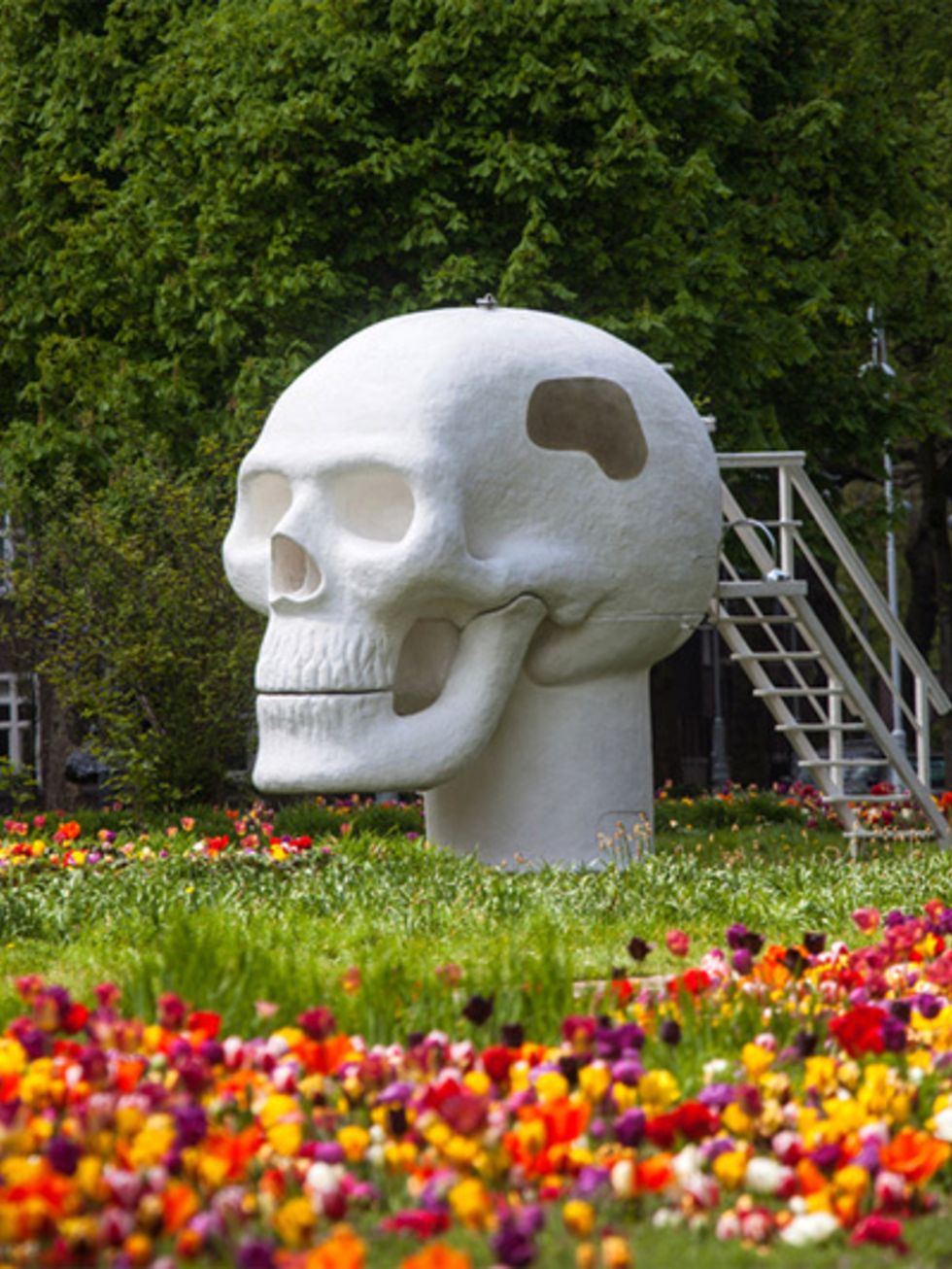 Bone, Skull, Garden, Flower, Jaw, Sculpture, Groundcover, Spring, Tooth, Environmental art, 