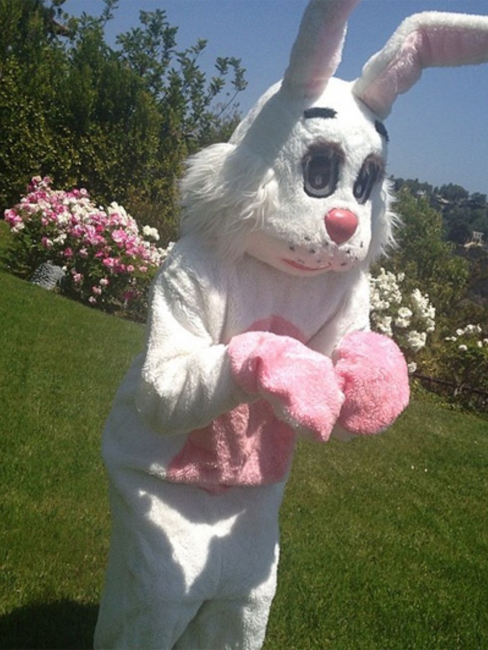 Easter bunny, Pink, Rabbits and Hares, Rabbit, Spring, Toy, Garden, Shrub, Fur, Domestic rabbit, 