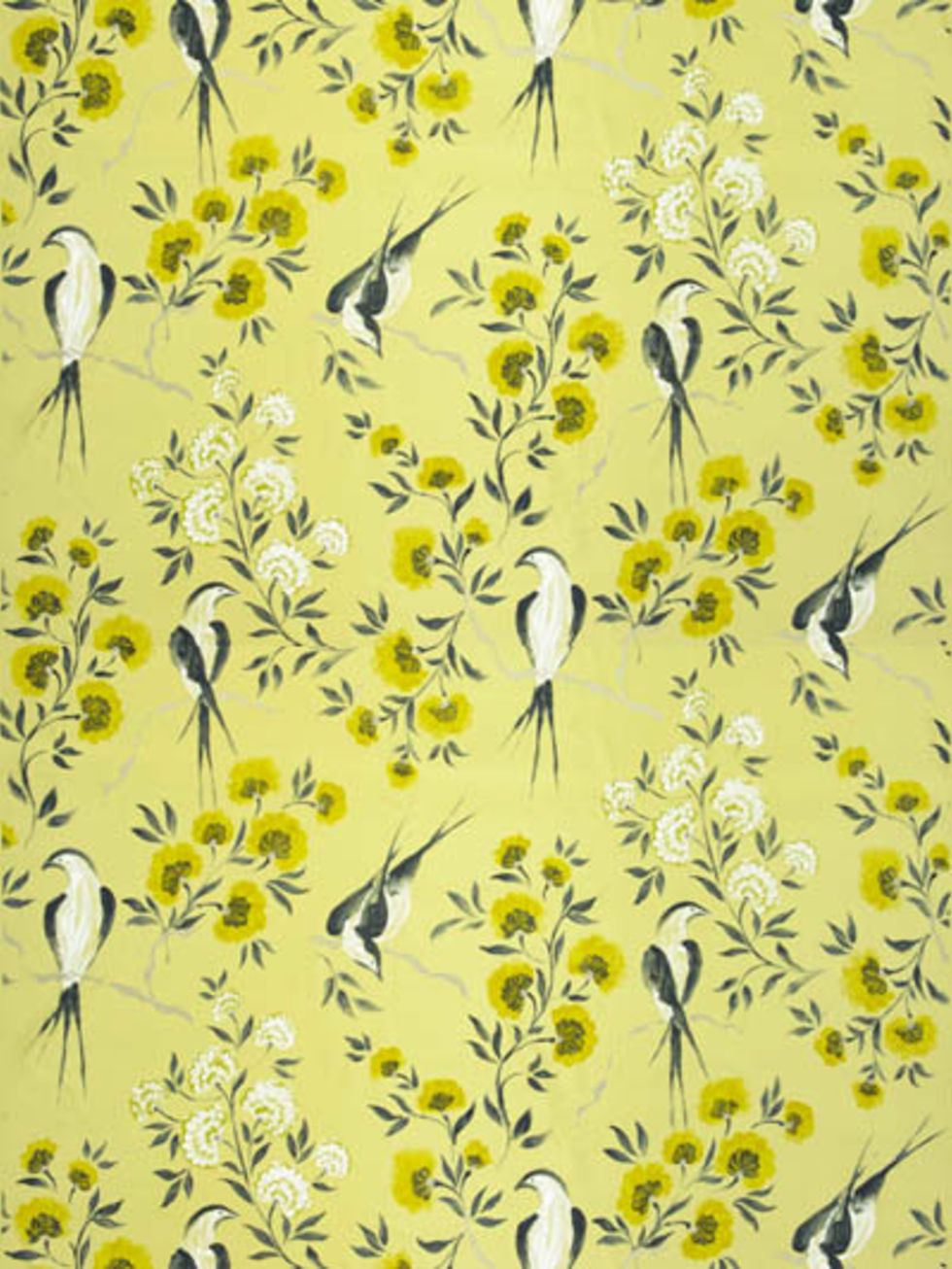 Yellow, Feather, Art, Bird, Botany, Illustration, Pedicel, Painting, Wildflower, Perching bird, 