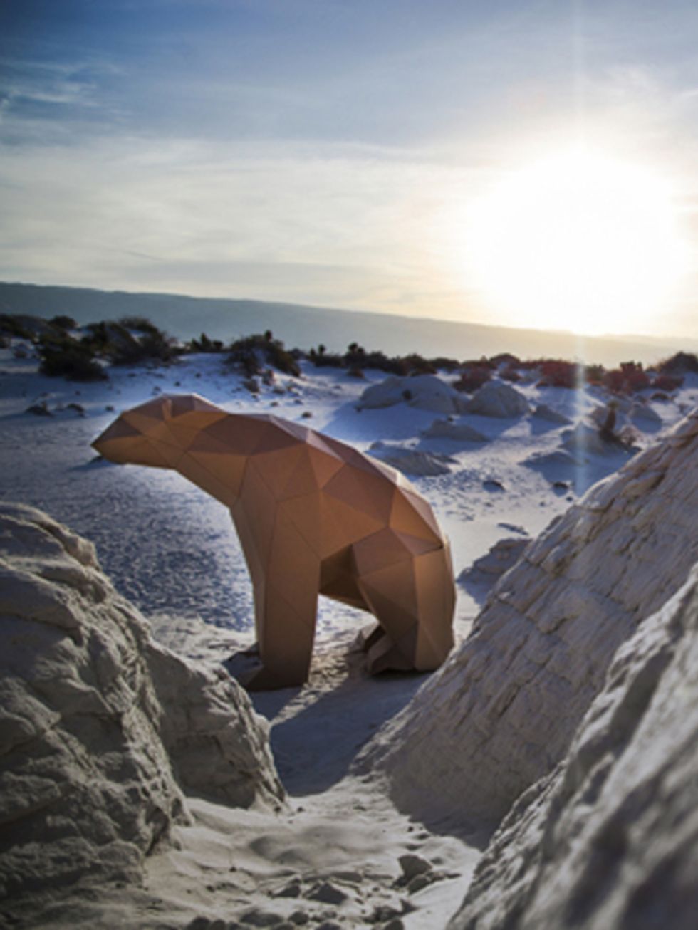 Sunlight, Terrestrial animal, Snow, Morning, Formation, Ice cap, Freezing, Bear, Arctic, Tundra, 