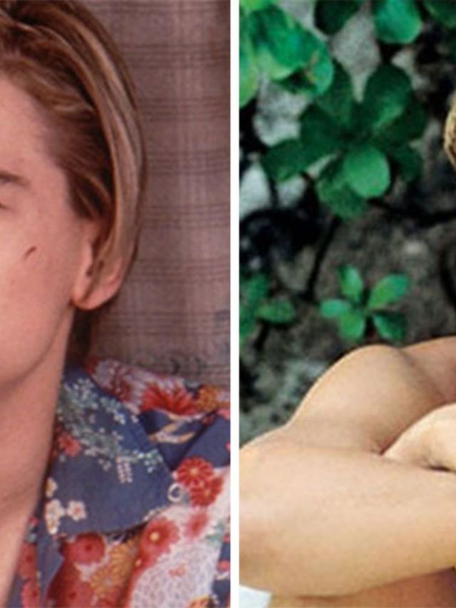Leo-s-Hotlist-DiCaprio-films-ge-ranked-op-hotness