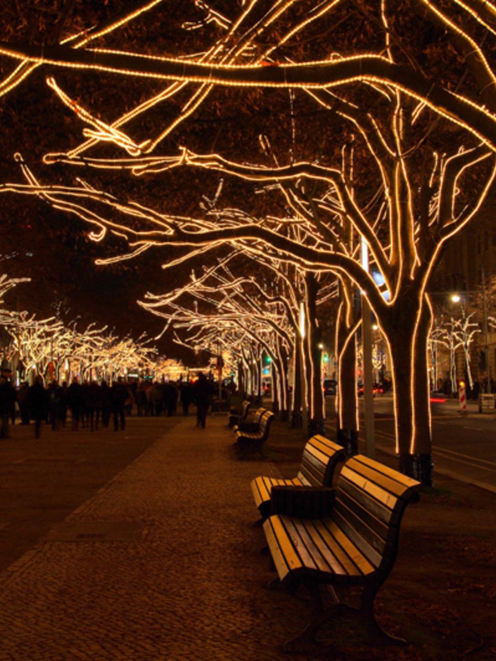 Lighting, Branch, Bench, Night, Twig, Public space, Tints and shades, Light, Deciduous, Outdoor bench, 