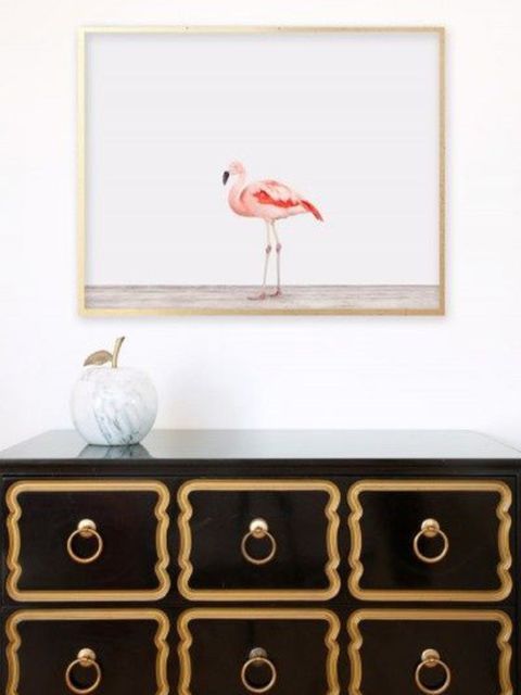 Wood, Sideboard, Room, Bird, White, Beak, Wall, Drawer, Feather, Cabinetry, 