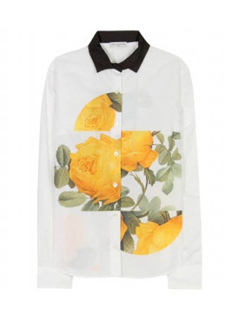 Sleeve, Collar, Orange, Amber, Flowering plant, Peach, Active shirt, Fruit, Button, 