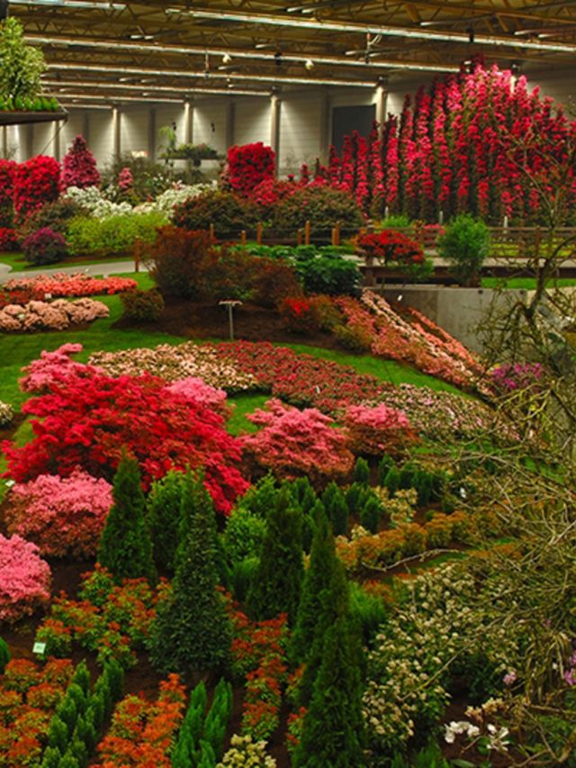 Van-deze-bloemenpracht-gaan-je-groene-vingers-jeuken