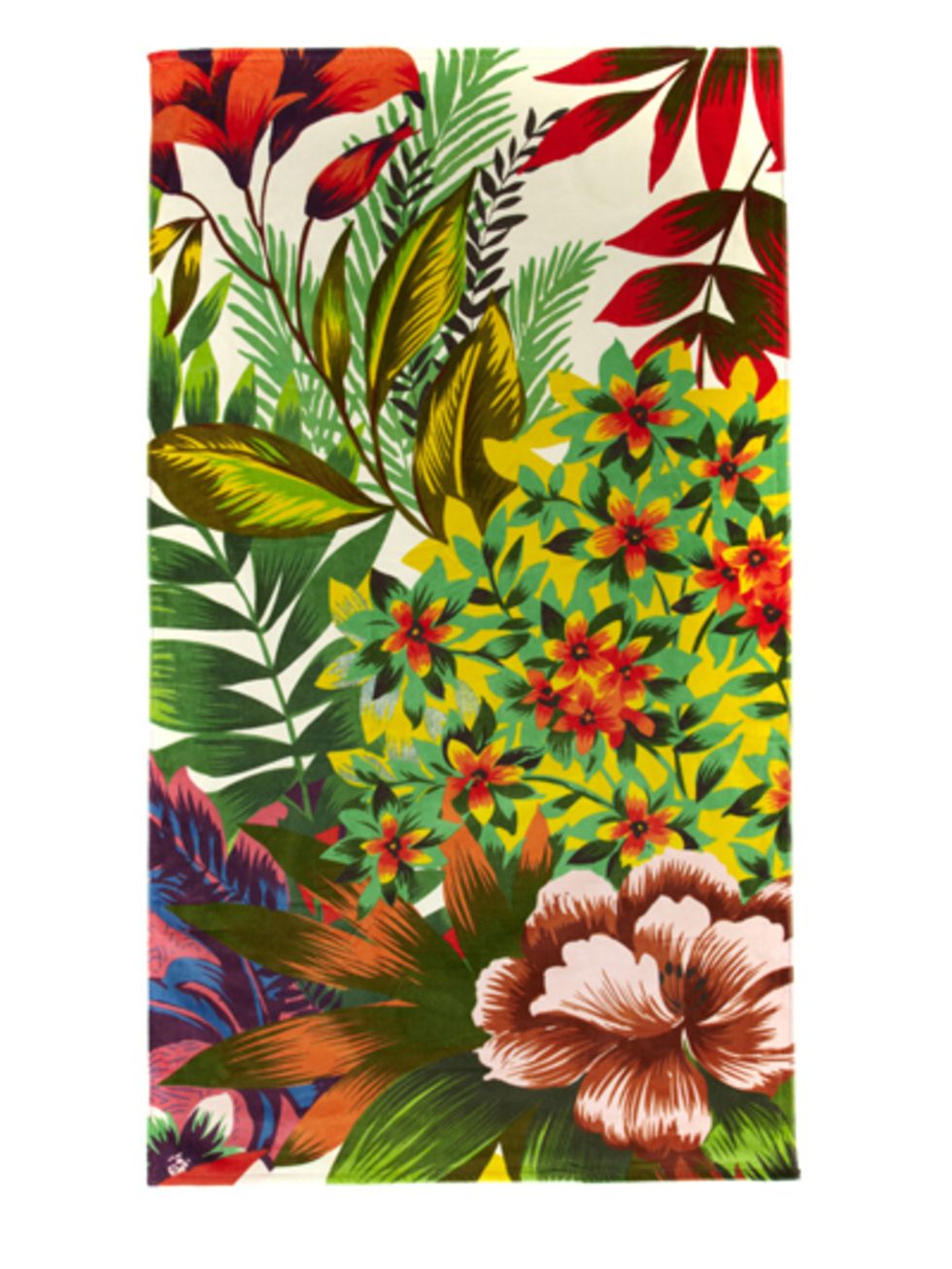 Organism, Petal, Leaf, Flower, Botany, Art, Flowering plant, Colorfulness, Painting, Illustration, 