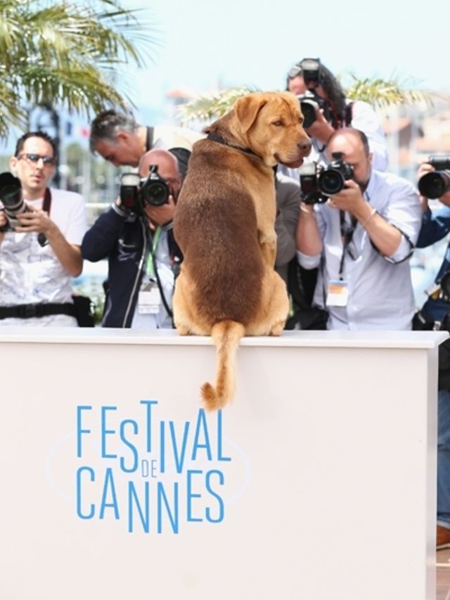 Ook-dit-is-Cannes-wat-je-eerder-niet-zag