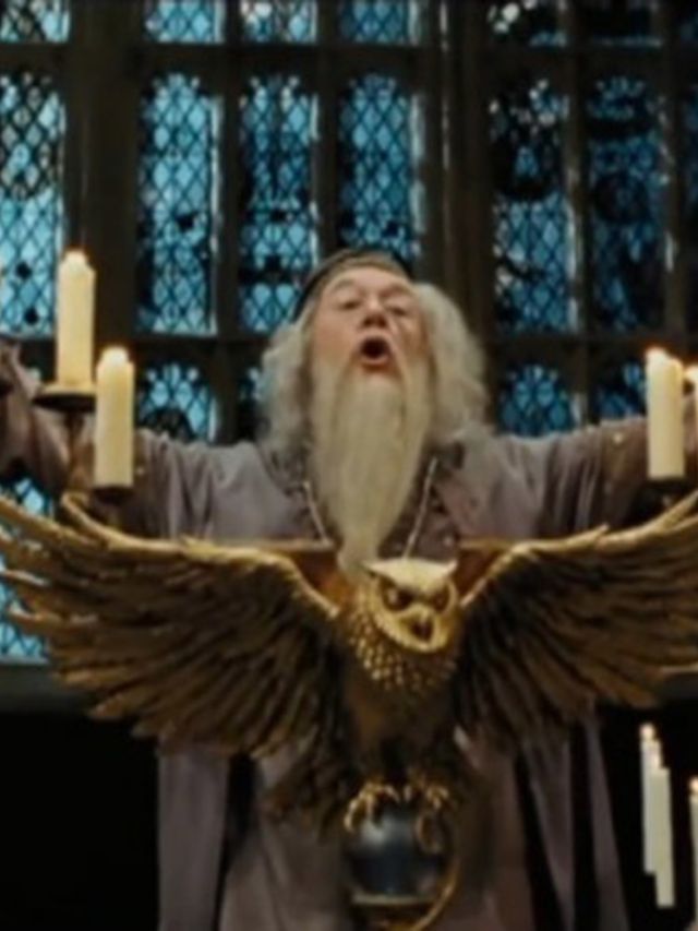 Deze-Harry-Potter-theorie-plaatst-het-HELE-verhaal-in-nieuw-perspectief