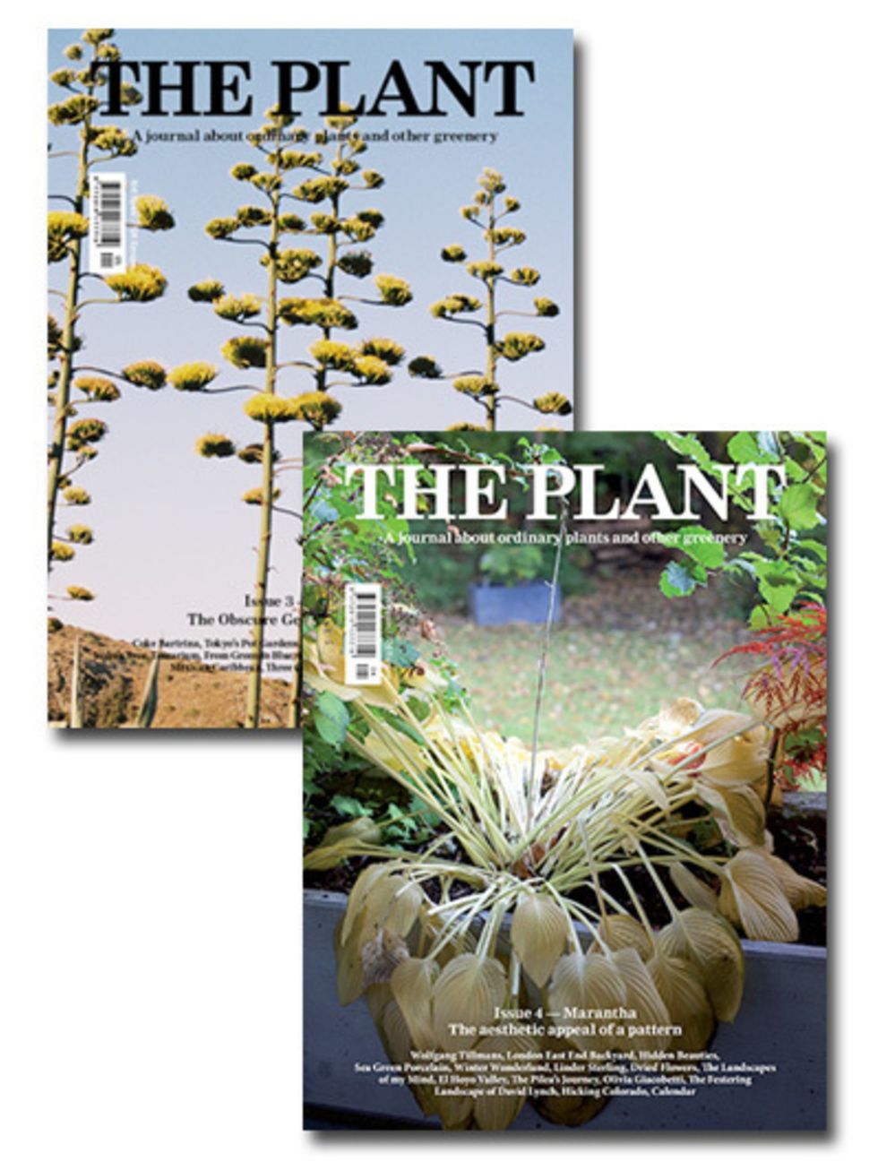 Terrestrial plant, Botany, Flowering plant, Graphic design, Wildflower, Perennial plant, 