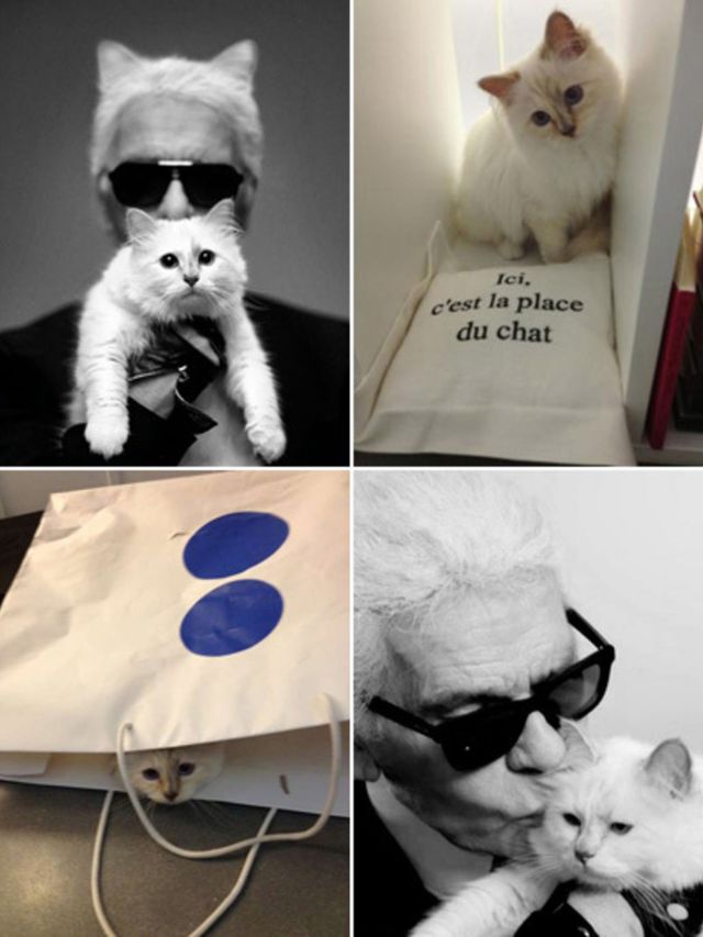 80-jaar-Karl-Lagerfeld-Karl-Choupette