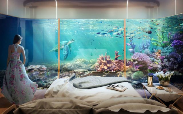 Organism, Dress, Purple, Aquarium decor, Fish, Lavender, Linens, Bed, Freshwater aquarium, Underwater, 