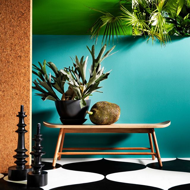 Interior design, Interior design, Turquoise, Botany, Terrestrial plant, Teal, Majorelle blue, Still life photography, Flowerpot, Houseplant, 