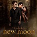 Eindelijk-op-dvd-New-Moon