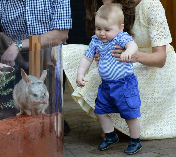 Human, Skin, Shoe, Hand, Baby & toddler clothing, Child, Interaction, Domestic rabbit, Rabbits and Hares, Rabbit, 