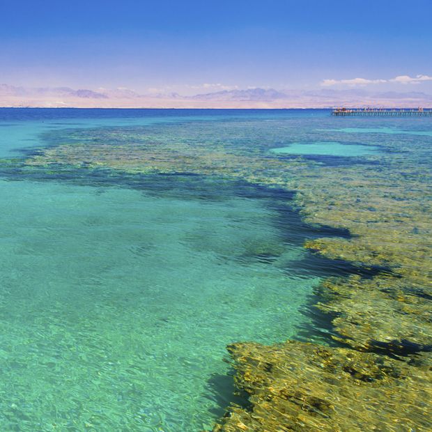 Body of water, Blue, Coastal and oceanic landforms, Fluid, Natural landscape, Landscape, Aqua, Horizon, Turquoise, Teal, 