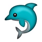 Aqua, Turquoise, Teal, Animation, Azure, Dolphin, Cetacea, Cartoon, Marine mammal, Graphics, 