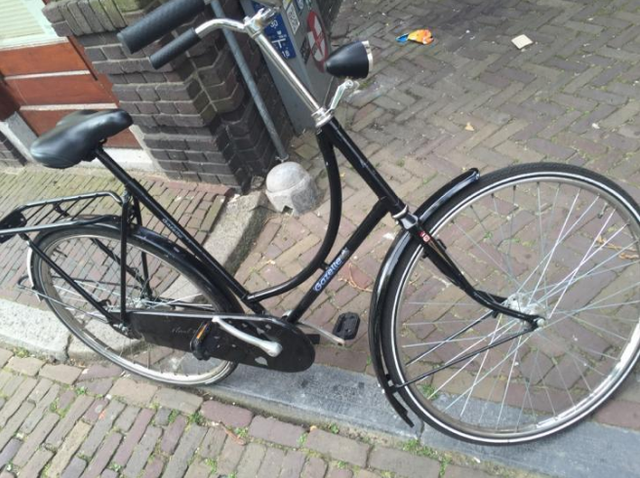 Bicycle tire, Tire, Bicycle wheel rim, Wheel, Bicycle wheel, Bicycle, Bicycle part, Bicycle accessory, Spoke, Bicycle frame, 