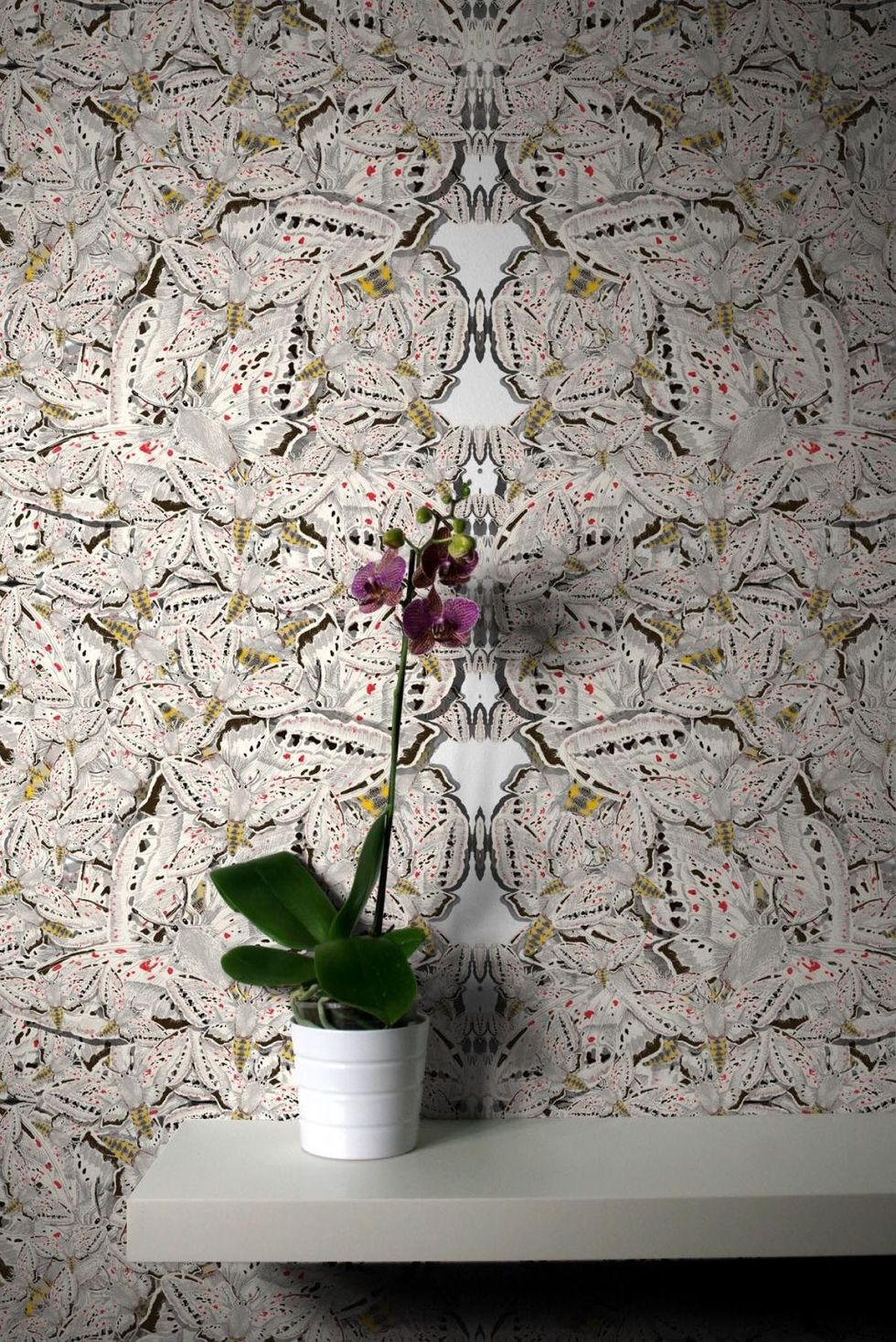 Flowerpot, Wall, Botany, Petal, Interior design, Art, Vase, Creative arts, Artifact, Wallpaper, 