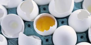 Ingredient, Colorfulness, Egg, Egg yolk, Egg, Circle, Still life photography, Science, Collection, 