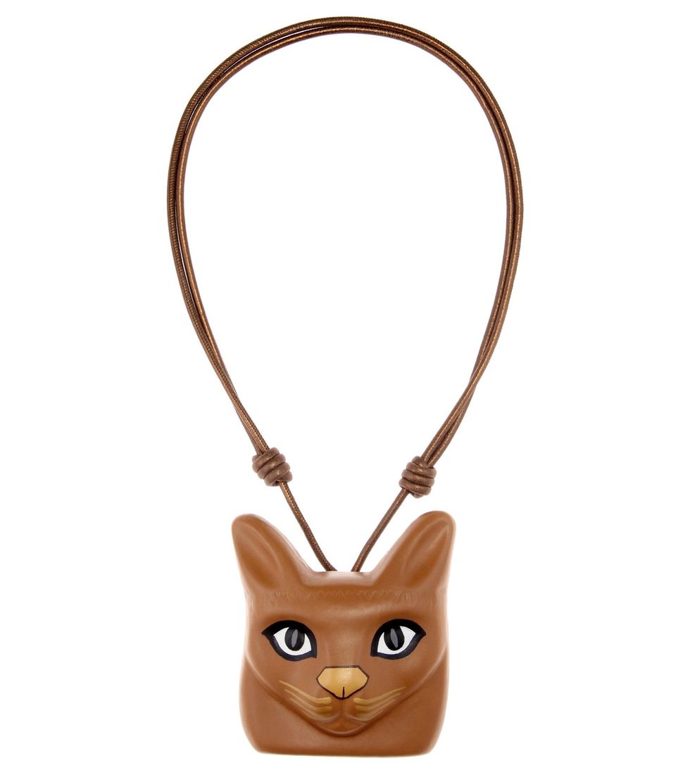 Brown, Product, Fashion accessory, Tan, Orange, Carnivore, Snout, Jewellery, Beige, Whiskers, 