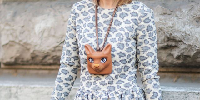 Sleeve, Whiskers, Jewellery, Carnivore, Street fashion, Pattern, Neck, Snout, Peach, Necklace, 