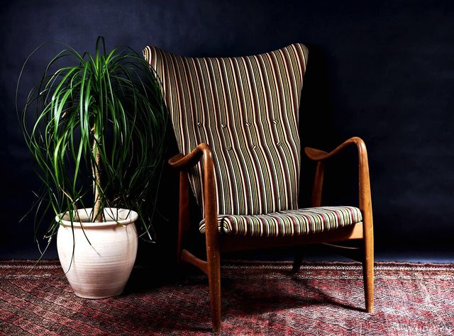 Flowerpot, Furniture, Chair, Houseplant, Still life photography, Club chair, Armrest, Still life, Cushion, Vase, 