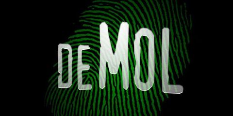 Wie Is De Mol - het logo
