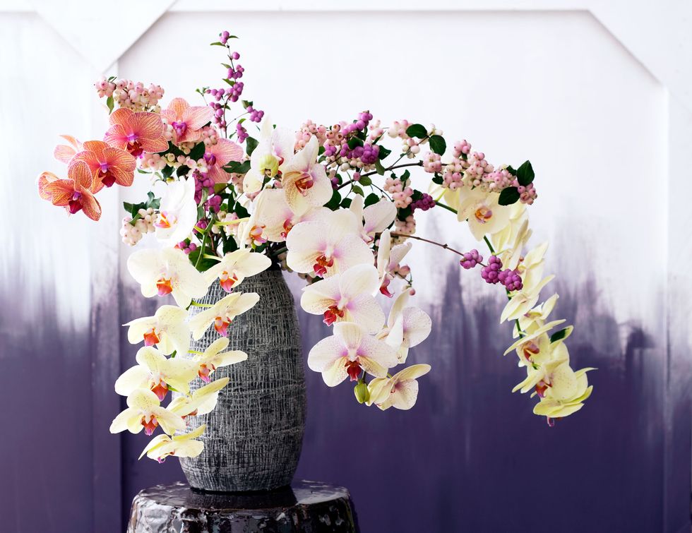 Petal, Flower, Purple, Cut flowers, Flower Arranging, Floristry, Floral design, Still life photography, Lavender, Vase, 