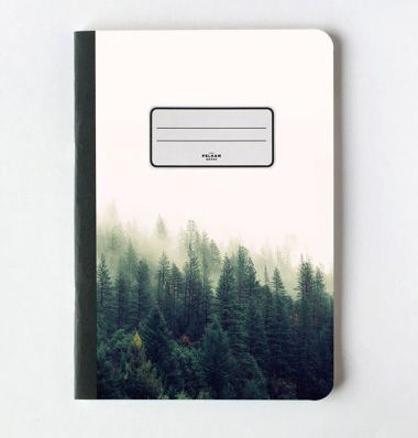 Rectangle, Grey, Parallel, Evergreen, Conifer, Square, Fir, Pine, 