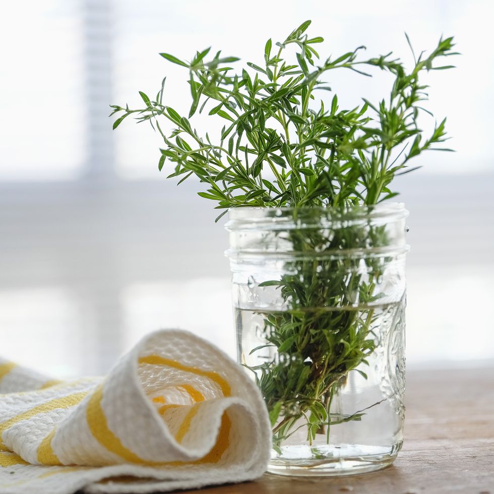 Glass, Liquid, Leaf, Transparent material, Vase, Plant stem, Towel, Herb, Artifact, Annual plant, 